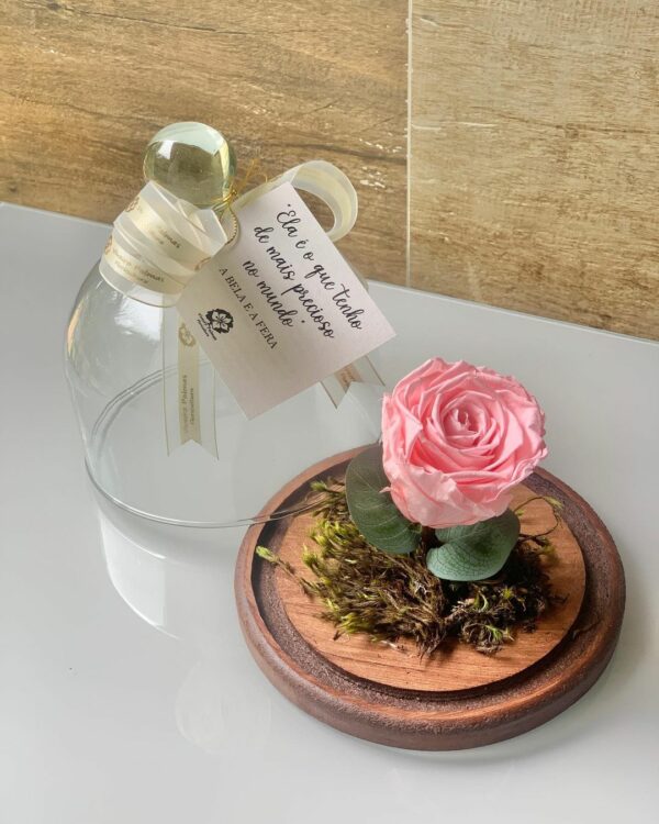 Rosa Eterna Rosa na Cúpola Pequena
