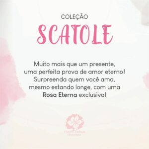 Rosa Eterna – Coleção Scatole